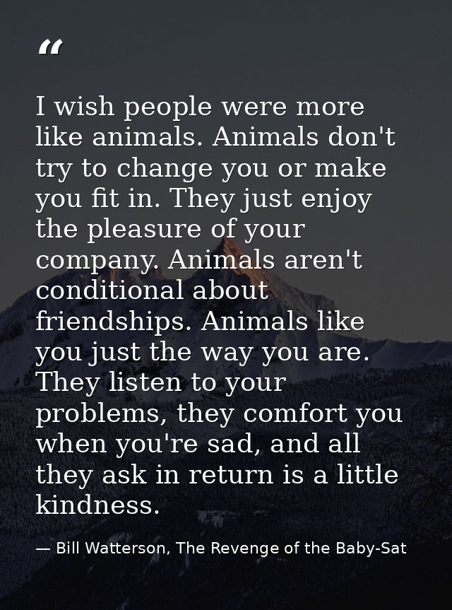 I wish people were more like animals. Animals don't try to change you or make you fit in. They just enjoy the pleasure o — Bill Watterson, The Revenge of the Baby-Sat