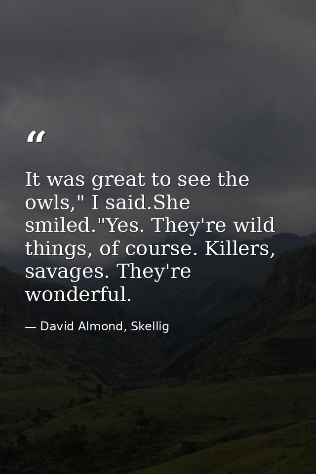 It was great to see the owls," I said.She smiled."Yes. They're wild things, of course. Killers, savages. They're wonderf — David Almond, Skellig