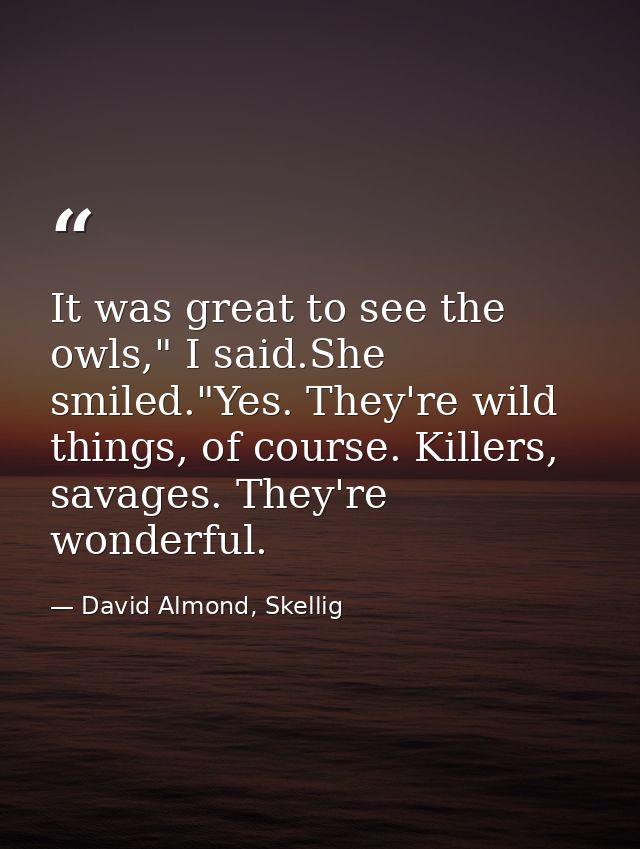 It was great to see the owls," I said.She smiled."Yes. They're wild things, of course. Killers, savages. They're wonderf — David Almond, Skellig