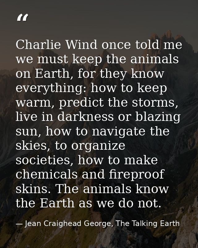 Charlie Wind once told me we must keep the animals on Earth, for they know everything: how to keep warm, predict the sto — Jean Craighead George, The Talking Earth