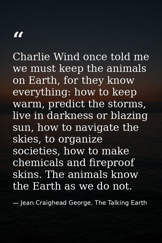 Charlie Wind once told me we must keep the animals on Earth, for they know everything: how to keep warm, predict the sto — Jean Craighead George, The Talking Earth
