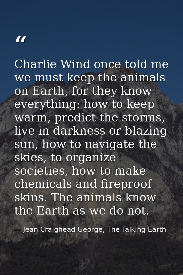Charlie Wind once told me we must keep the animals on Earth, for they know everything: how to keep warm, predict the sto — Jean Craighead George, The Talking Earth