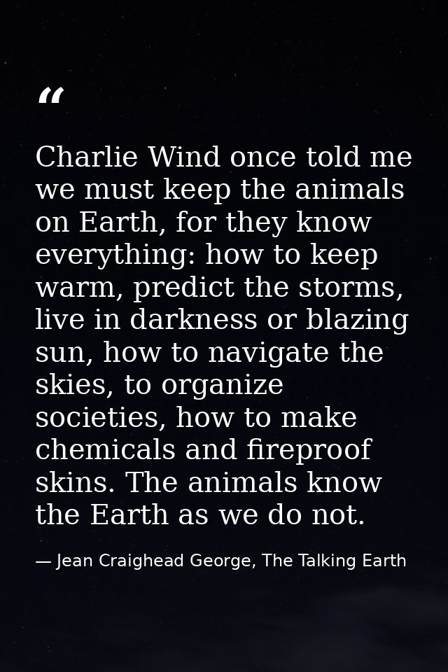 Charlie Wind once told me we must keep the animals on Earth, for they know everything: how to keep warm, predict the sto — Jean Craighead George, The Talking Earth