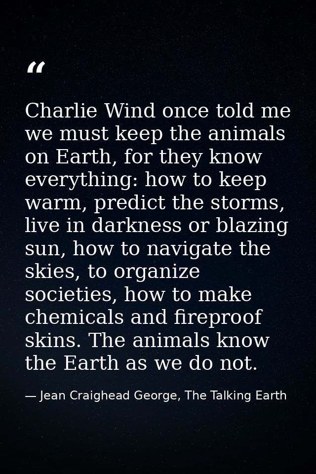 Charlie Wind once told me we must keep the animals on Earth, for they know everything: how to keep warm, predict the sto — Jean Craighead George, The Talking Earth