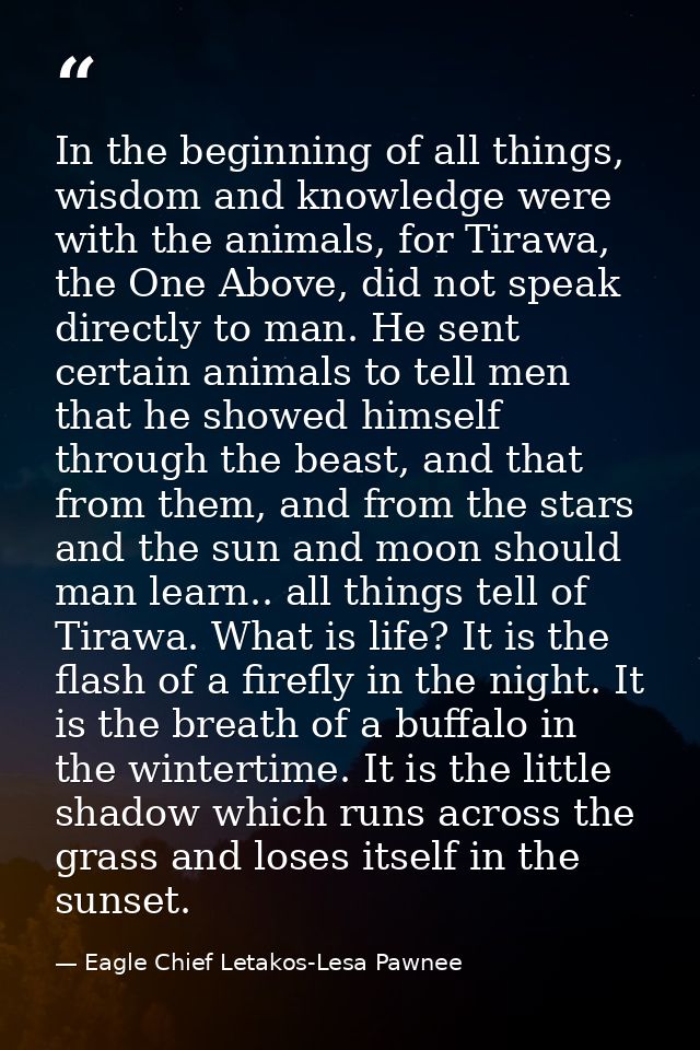 In the beginning of all things, wisdom and knowledge were with the animals, for Tirawa, the One Above, did not speak dir — Eagle Chief Letakos-Lesa Pawnee