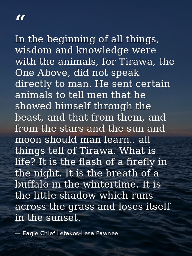 In the beginning of all things, wisdom and knowledge were with the animals, for Tirawa, the One Above, did not speak dir — Eagle Chief Letakos-Lesa Pawnee