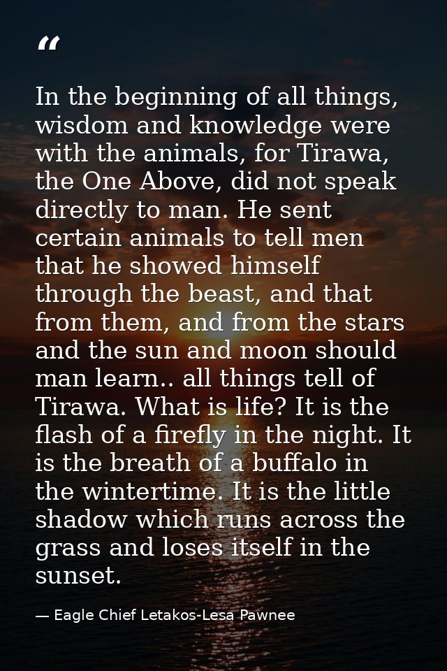 In the beginning of all things, wisdom and knowledge were with the animals, for Tirawa, the One Above, did not speak dir — Eagle Chief Letakos-Lesa Pawnee
