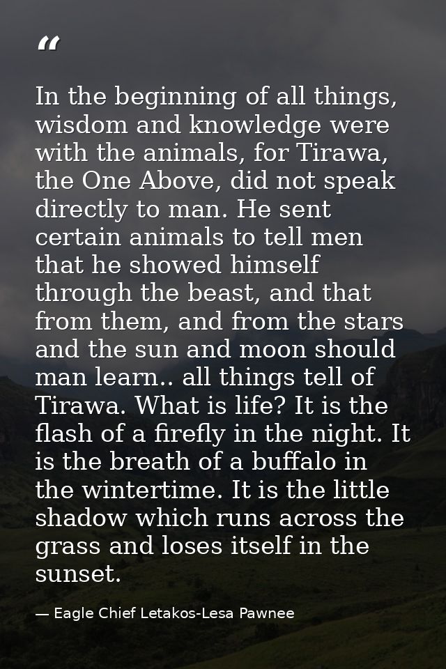 In the beginning of all things, wisdom and knowledge were with the animals, for Tirawa, the One Above, did not speak dir — Eagle Chief Letakos-Lesa Pawnee