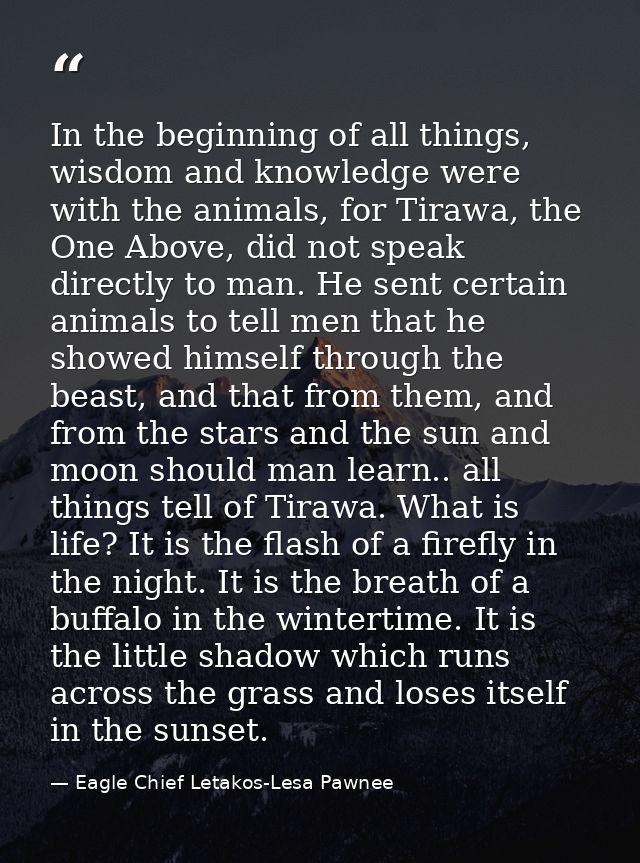 In the beginning of all things, wisdom and knowledge were with the animals, for Tirawa, the One Above, did not speak dir — Eagle Chief Letakos-Lesa Pawnee