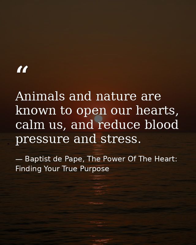 Animals and nature are known to open our hearts, calm us, and reduce blood pressure and stress. — Baptist de Pape, The Power Of The Heart: Finding Your True Purpose
