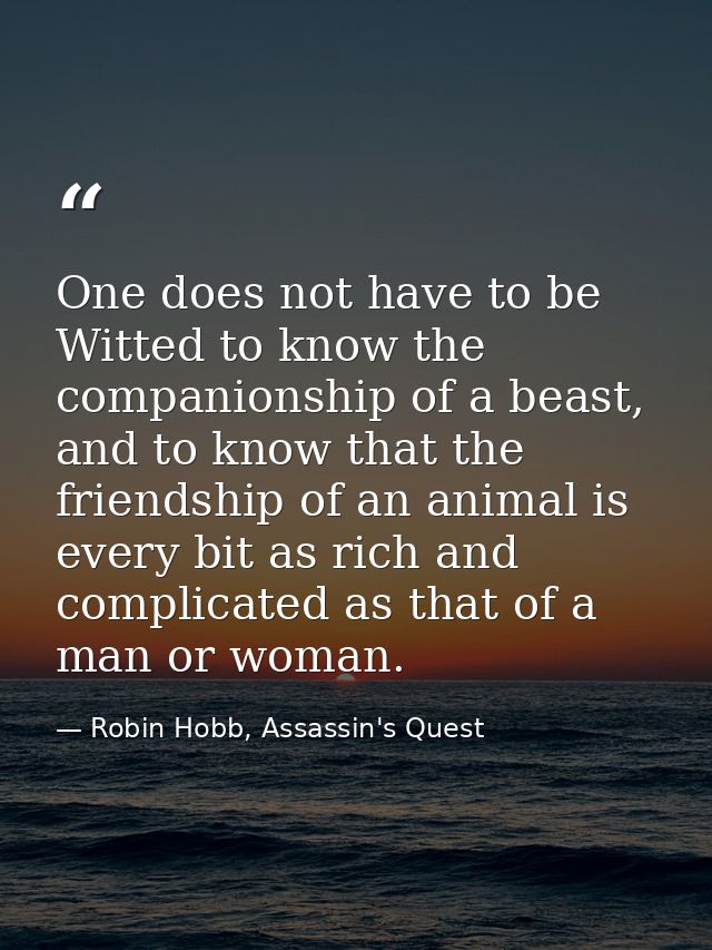 One does not have to be Witted to know the companionship of a beast, and to know that the friendship of an animal is eve — Robin Hobb, Assassin's Quest