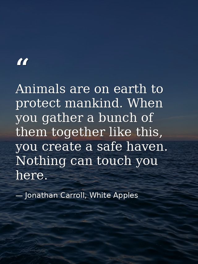 Animals are on earth to protect mankind. When you gather a bunch of them together like this, you create a safe haven. No — Jonathan Carroll, White Apples
