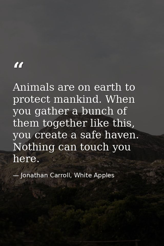 Animals are on earth to protect mankind. When you gather a bunch of them together like this, you create a safe haven. No — Jonathan Carroll, White Apples