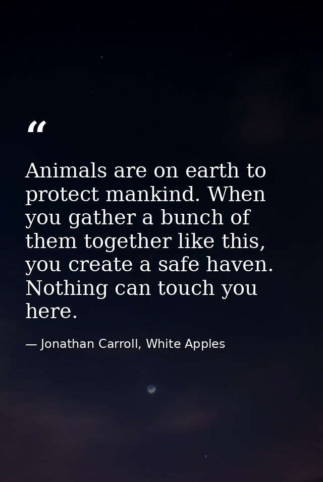 Animals are on earth to protect mankind. When you gather a bunch of them together like this, you create a safe haven. No — Jonathan Carroll, White Apples