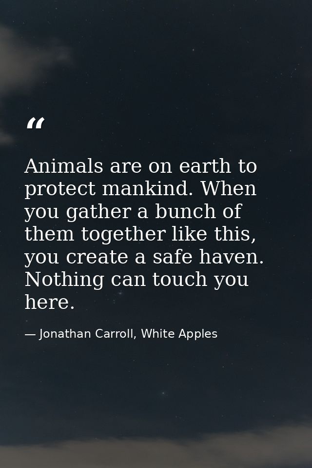 Animals are on earth to protect mankind. When you gather a bunch of them together like this, you create a safe haven. No — Jonathan Carroll, White Apples