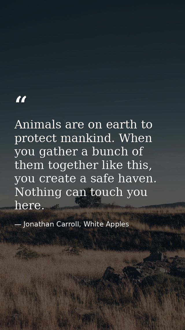 Animals are on earth to protect mankind. When you gather a bunch of them together like this, you create a safe haven. No — Jonathan Carroll, White Apples