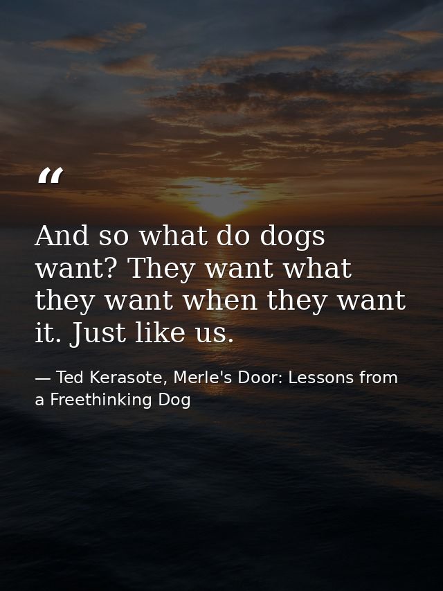 And so what do dogs want? They want what they want when they want it. Just like us. — Ted Kerasote, Merle's Door: Lessons from a Freethinking Dog