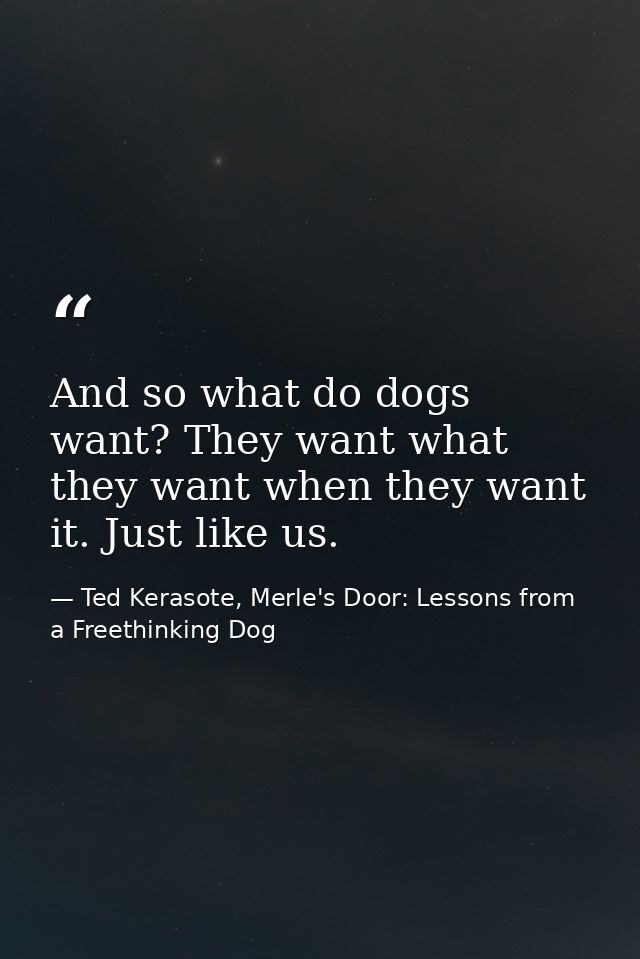 And so what do dogs want? They want what they want when they want it. Just like us. — Ted Kerasote, Merle's Door: Lessons from a Freethinking Dog
