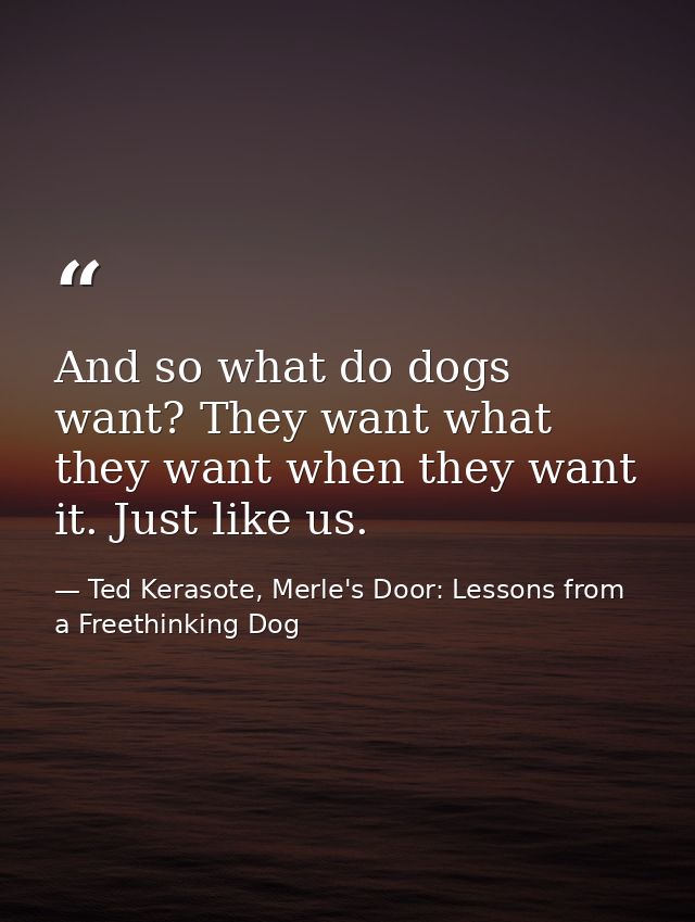 And so what do dogs want? They want what they want when they want it. Just like us. — Ted Kerasote, Merle's Door: Lessons from a Freethinking Dog