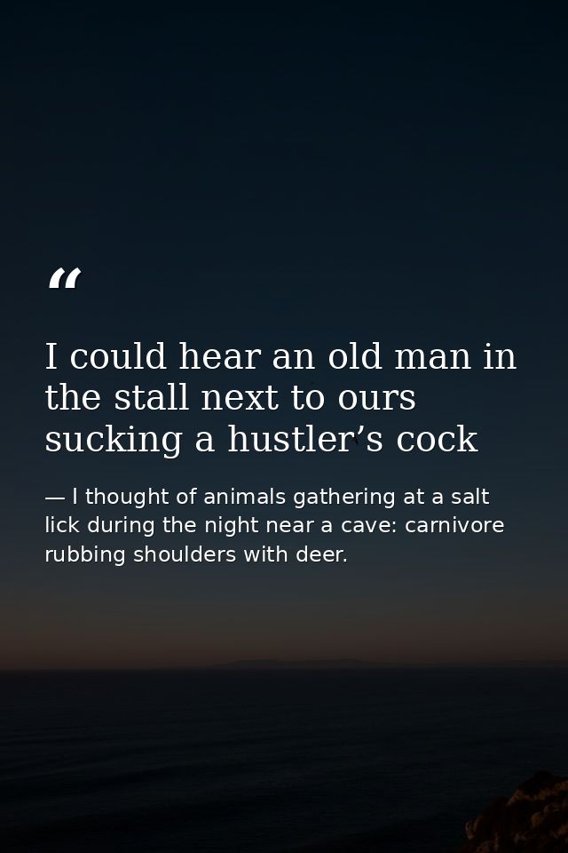 I could hear an old man in the stall next to ours sucking a hustler’s cock — I thought of animals gathering at a salt lick during the night near a cave: carnivore rubbing shoulders with deer.