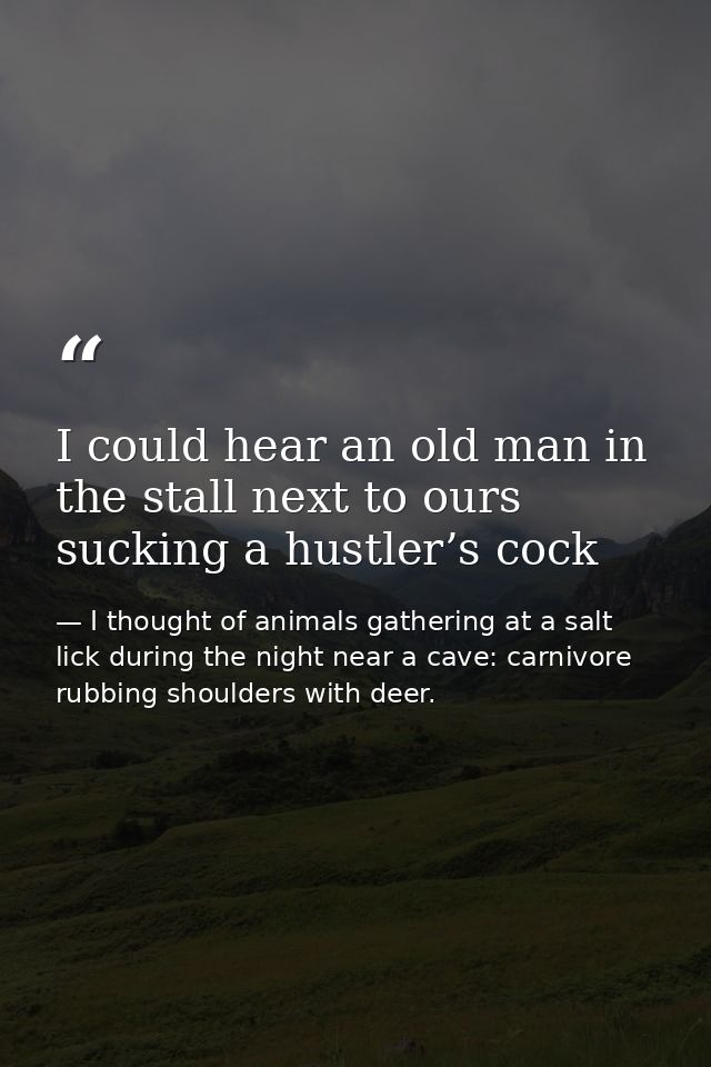 I could hear an old man in the stall next to ours sucking a hustler’s cock — I thought of animals gathering at a salt lick during the night near a cave: carnivore rubbing shoulders with deer.