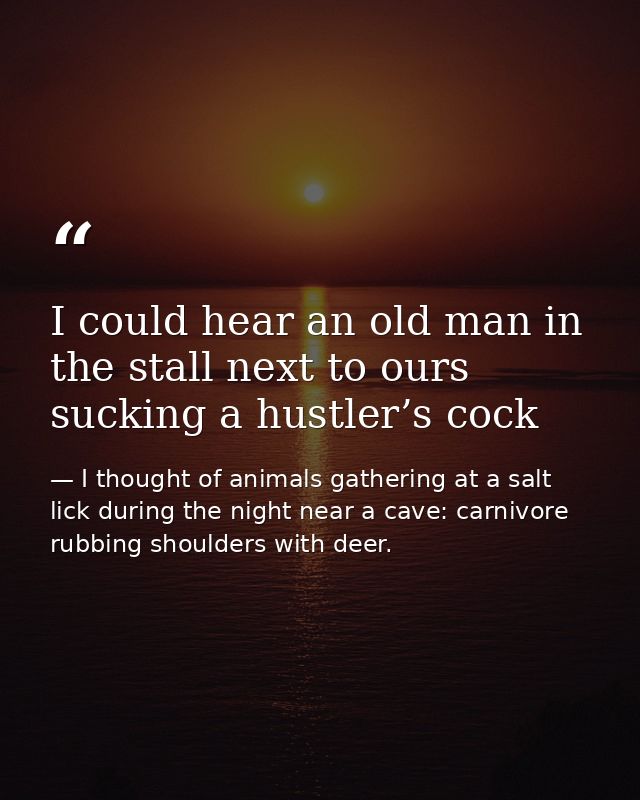 I could hear an old man in the stall next to ours sucking a hustler’s cock — I thought of animals gathering at a salt lick during the night near a cave: carnivore rubbing shoulders with deer.