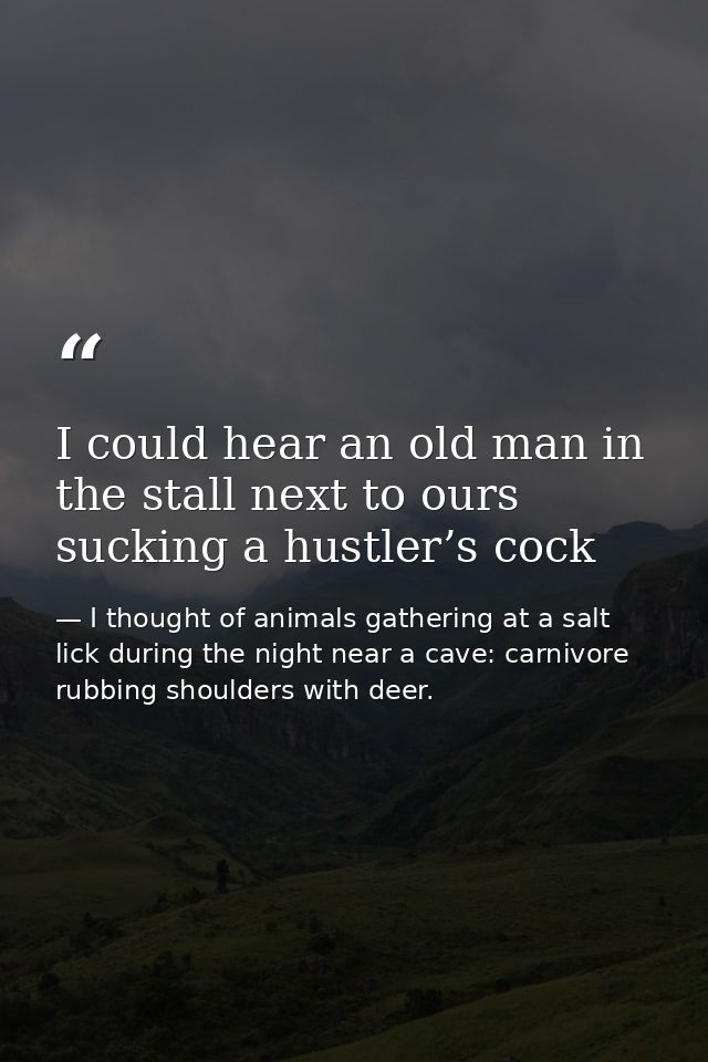 I could hear an old man in the stall next to ours sucking a hustler’s cock — I thought of animals gathering at a salt lick during the night near a cave: carnivore rubbing shoulders with deer.