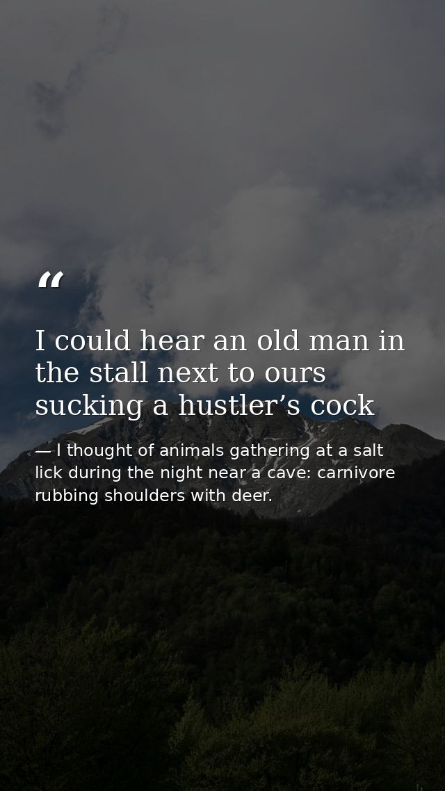 I could hear an old man in the stall next to ours sucking a hustler’s cock — I thought of animals gathering at a salt lick during the night near a cave: carnivore rubbing shoulders with deer.