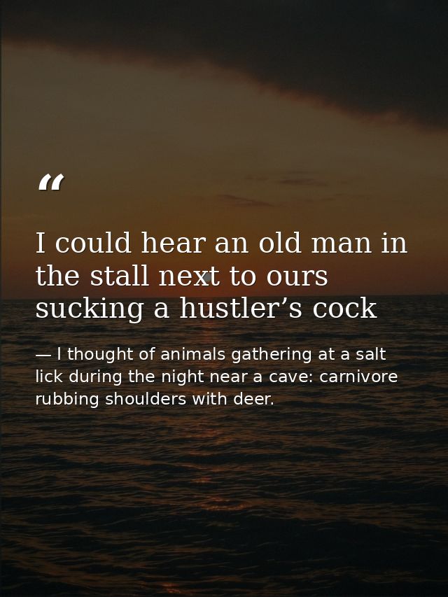 I could hear an old man in the stall next to ours sucking a hustler’s cock — I thought of animals gathering at a salt lick during the night near a cave: carnivore rubbing shoulders with deer.