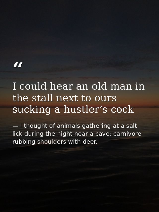 I could hear an old man in the stall next to ours sucking a hustler’s cock — I thought of animals gathering at a salt lick during the night near a cave: carnivore rubbing shoulders with deer.