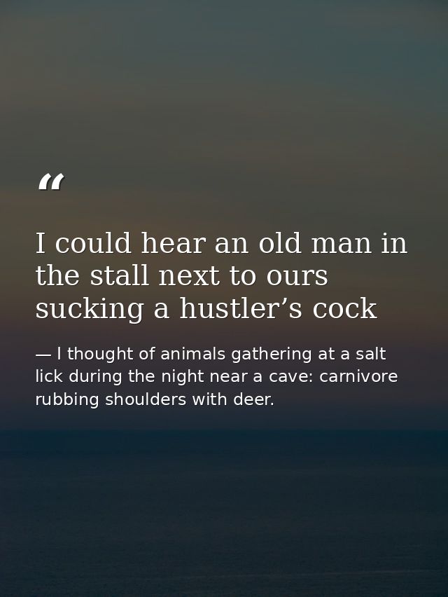 I could hear an old man in the stall next to ours sucking a hustler’s cock — I thought of animals gathering at a salt lick during the night near a cave: carnivore rubbing shoulders with deer.
