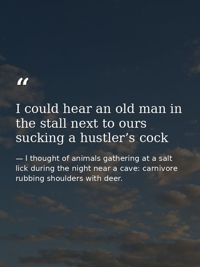 I could hear an old man in the stall next to ours sucking a hustler’s cock — I thought of animals gathering at a salt lick during the night near a cave: carnivore rubbing shoulders with deer.