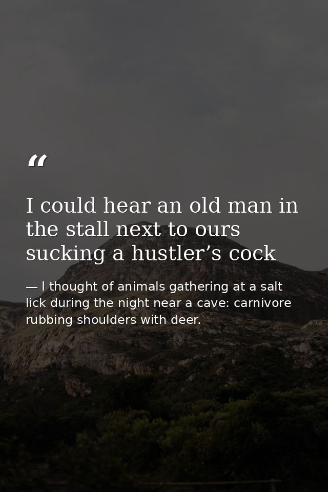 I could hear an old man in the stall next to ours sucking a hustler’s cock — I thought of animals gathering at a salt lick during the night near a cave: carnivore rubbing shoulders with deer.