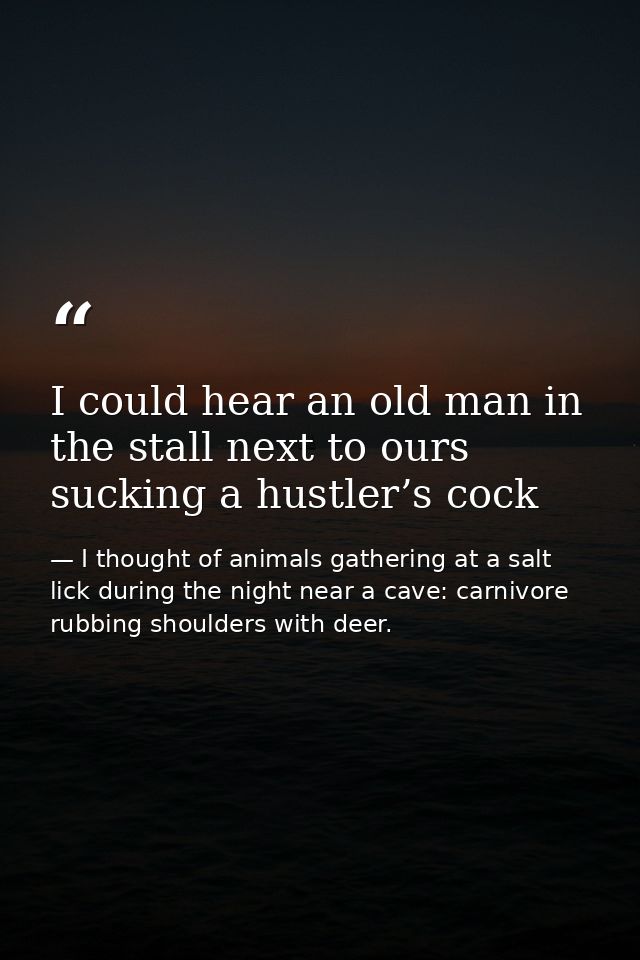 I could hear an old man in the stall next to ours sucking a hustler’s cock — I thought of animals gathering at a salt lick during the night near a cave: carnivore rubbing shoulders with deer.