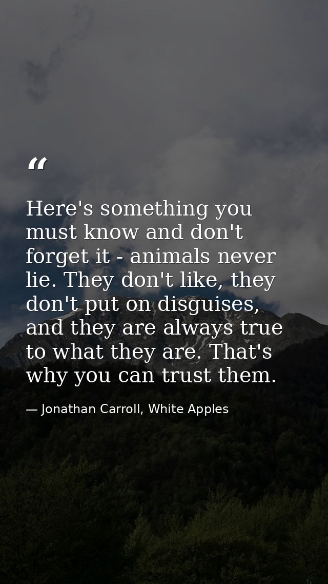 Here's something you must know and don't forget it - animals never lie. They don't like, they don't put on disguises, an — Jonathan Carroll, White Apples
