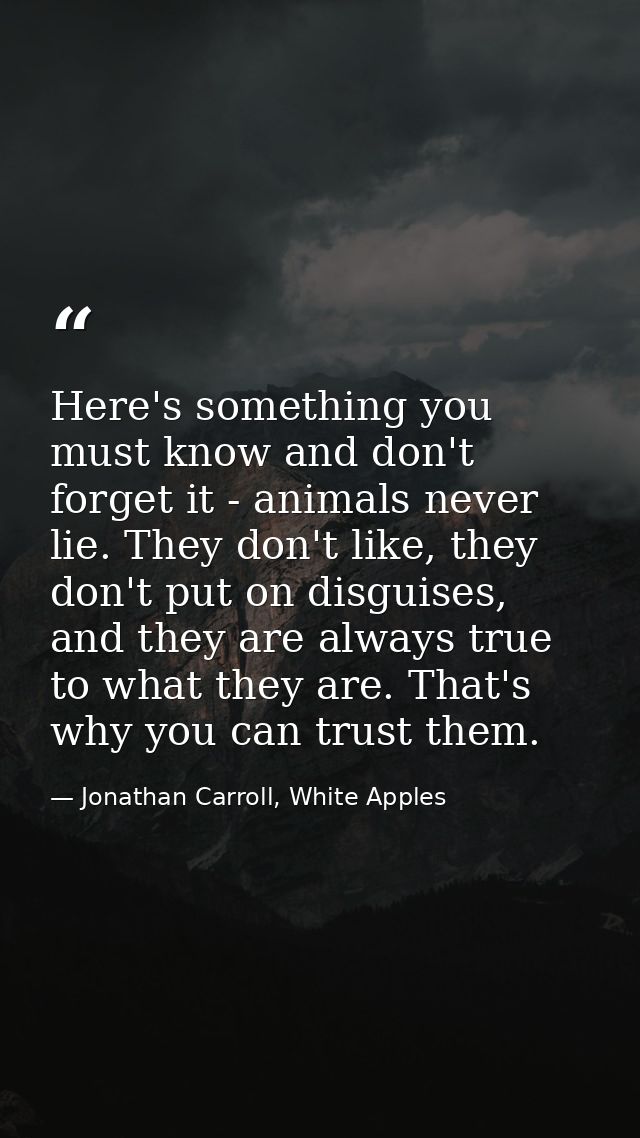 Here's something you must know and don't forget it - animals never lie. They don't like, they don't put on disguises, an — Jonathan Carroll, White Apples