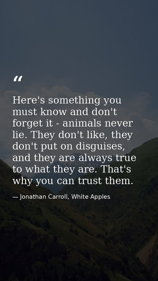 Here's something you must know and don't forget it - animals never lie. They don't like, they don't put on disguises, an — Jonathan Carroll, White Apples
