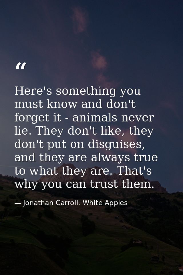 Here's something you must know and don't forget it - animals never lie. They don't like, they don't put on disguises, an — Jonathan Carroll, White Apples