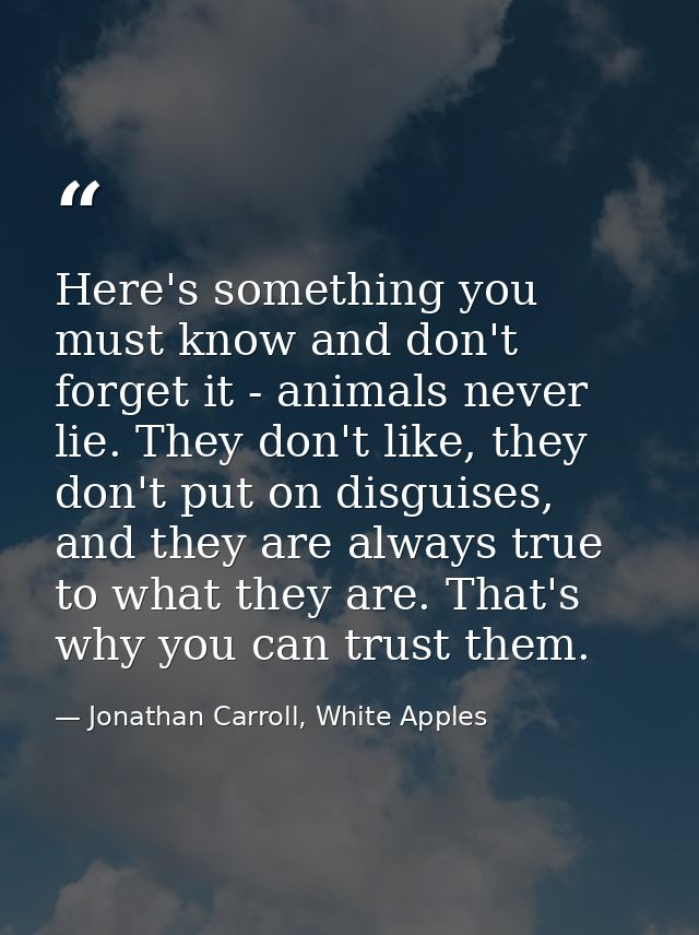 Here's something you must know and don't forget it - animals never lie. They don't like, they don't put on disguises, an — Jonathan Carroll, White Apples