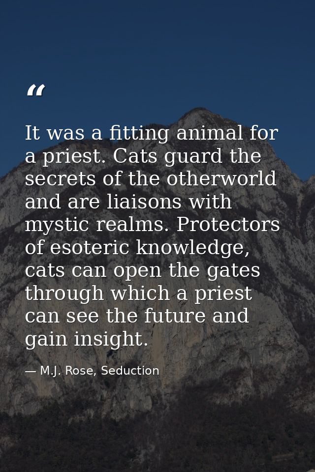 It was a fitting animal for a priest. Cats guard the secrets of the otherworld and are liaisons with mystic realms. Prot — M.J. Rose, Seduction