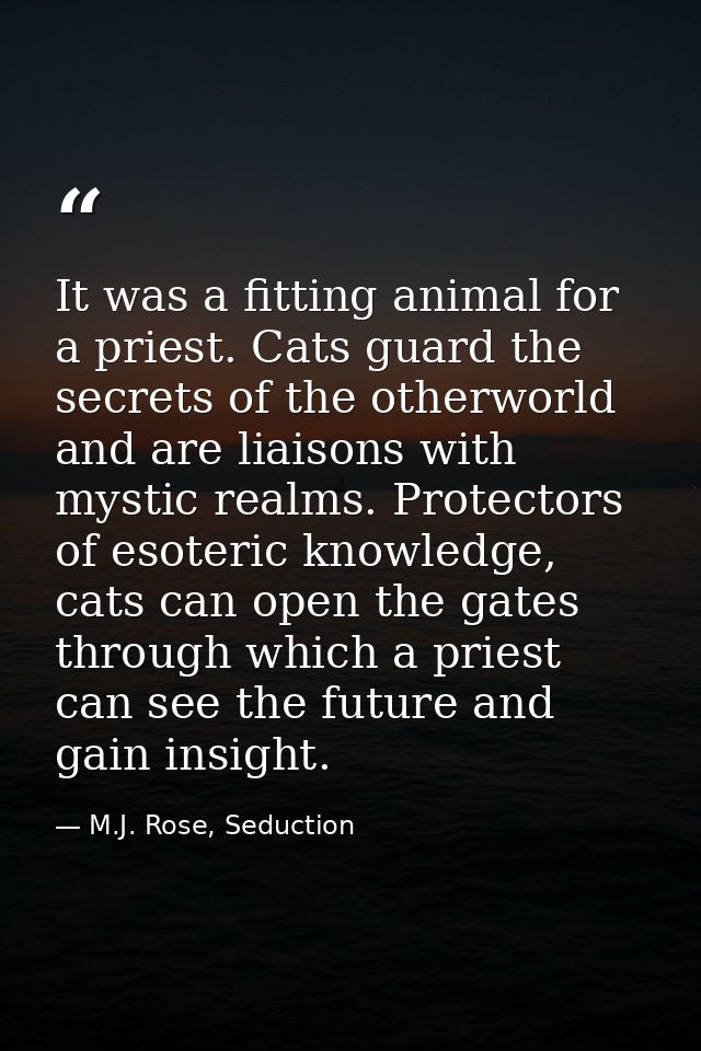It was a fitting animal for a priest. Cats guard the secrets of the otherworld and are liaisons with mystic realms. Prot — M.J. Rose, Seduction
