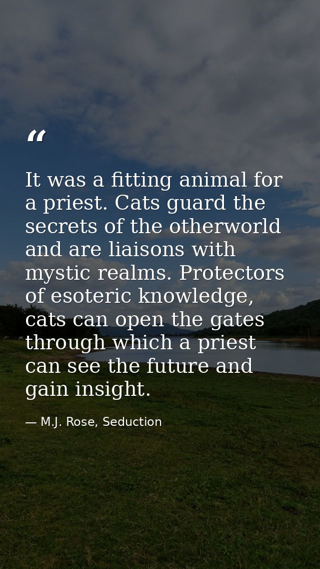 It was a fitting animal for a priest. Cats guard the secrets of the otherworld and are liaisons with mystic realms. Prot — M.J. Rose, Seduction
