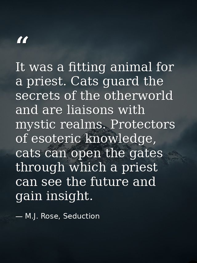 It was a fitting animal for a priest. Cats guard the secrets of the otherworld and are liaisons with mystic realms. Prot — M.J. Rose, Seduction