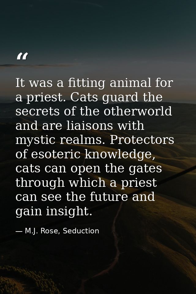 It was a fitting animal for a priest. Cats guard the secrets of the otherworld and are liaisons with mystic realms. Prot — M.J. Rose, Seduction