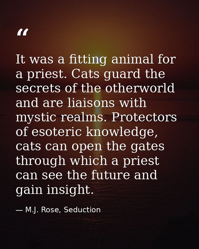 It was a fitting animal for a priest. Cats guard the secrets of the otherworld and are liaisons with mystic realms. Prot — M.J. Rose, Seduction