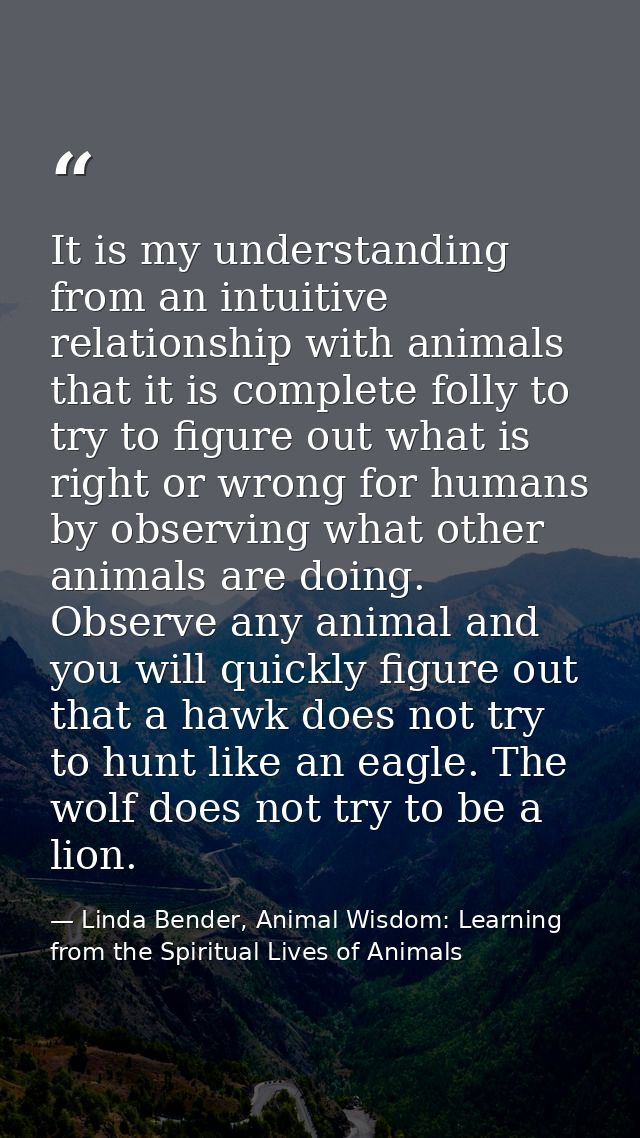It is my understanding from an intuitive relationship with animals that it is complete folly to try to figure out what i — Linda Bender, Animal Wisdom: Learning from the Spiritual Lives of Animals