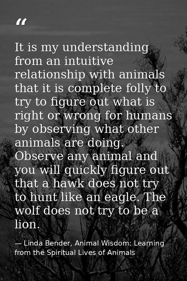 It is my understanding from an intuitive relationship with animals that it is complete folly to try to figure out what i — Linda Bender, Animal Wisdom: Learning from the Spiritual Lives of Animals
