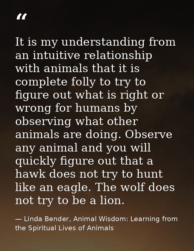 It is my understanding from an intuitive relationship with animals that it is complete folly to try to figure out what i — Linda Bender, Animal Wisdom: Learning from the Spiritual Lives of Animals