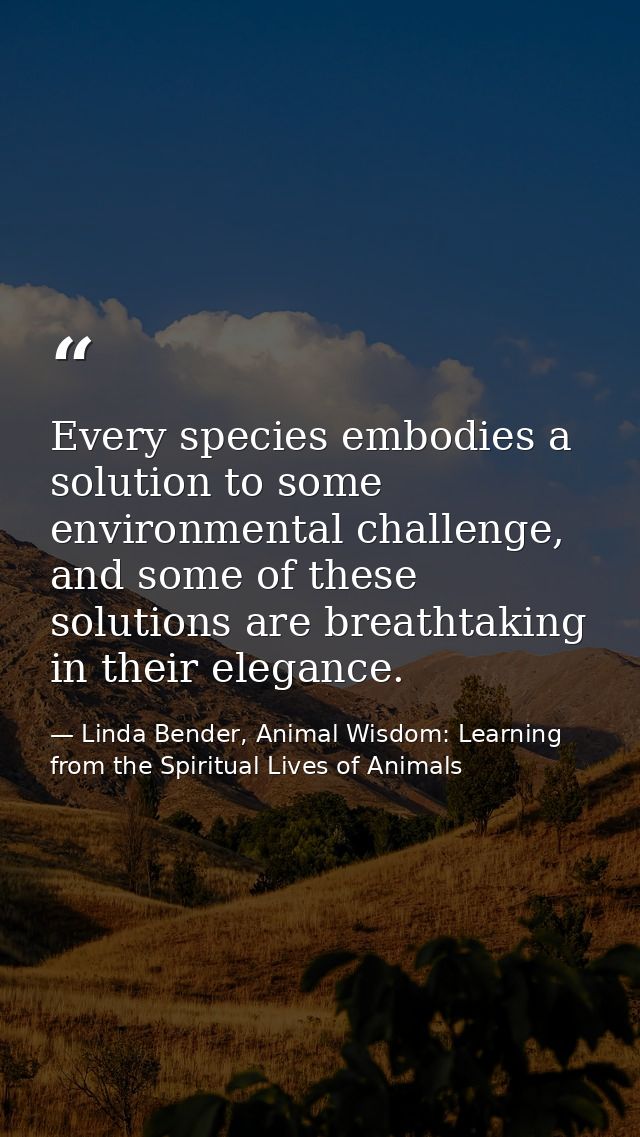 Every species embodies a solution to some environmental challenge, and some of these solutions are breathtaking in their — Linda Bender, Animal Wisdom: Learning from the Spiritual Lives of Animals
