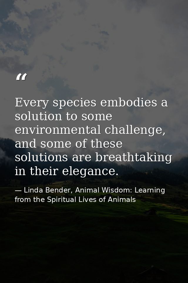 Every species embodies a solution to some environmental challenge, and some of these solutions are breathtaking in their — Linda Bender, Animal Wisdom: Learning from the Spiritual Lives of Animals